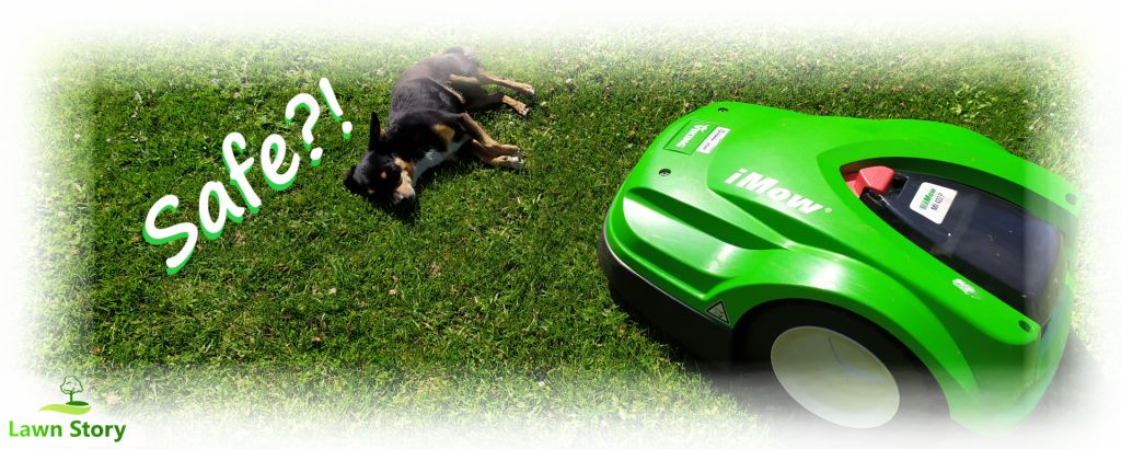 Robot Lawn Mower Safety